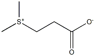 二甲基丙酸噻亭
